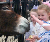 Animal Centre