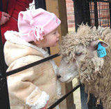 Animal Centre