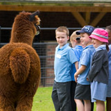 Animal Centre